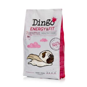 Dingo Energy & Fit