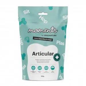 Moments Articular