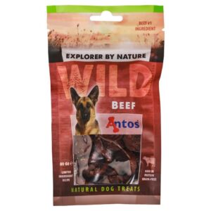 Wild Buey